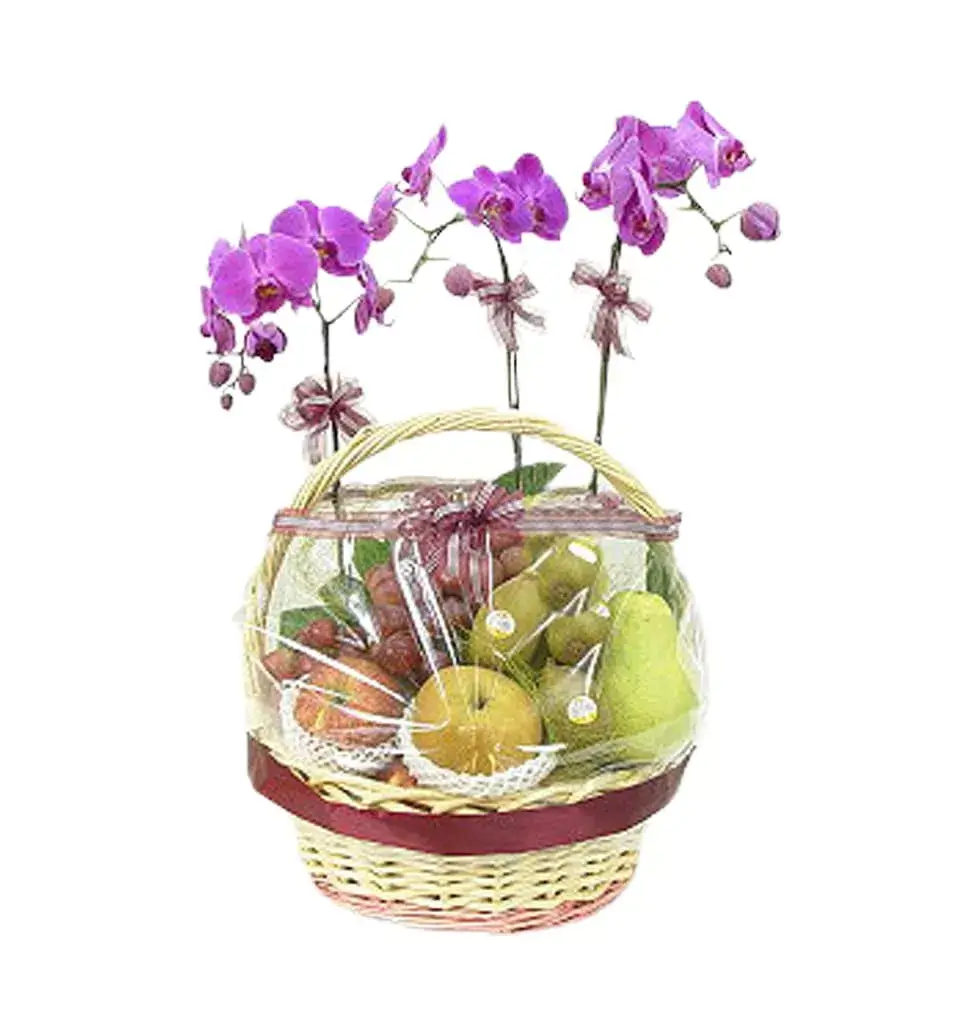 Fruity Hamper of Surprises