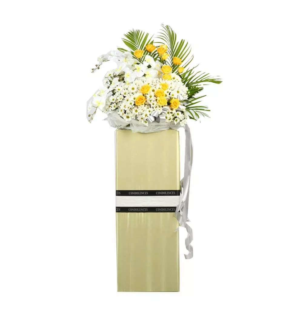 Arrangements for Eternal Peace