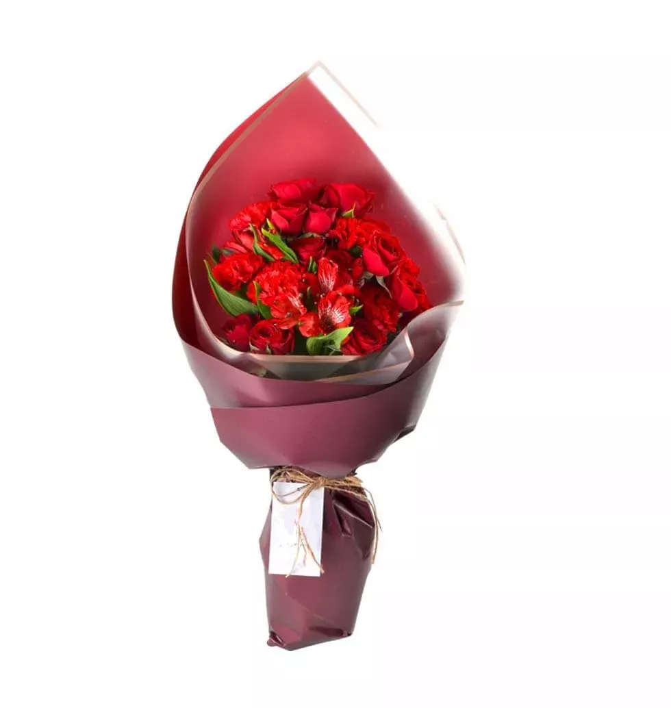 Stunning Beauty of red carnations