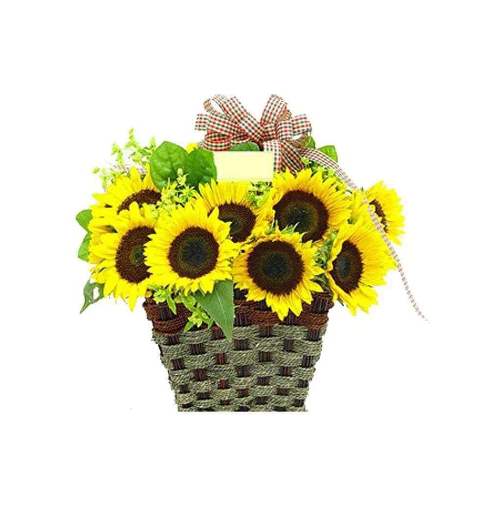 Sunkissed blooms basket