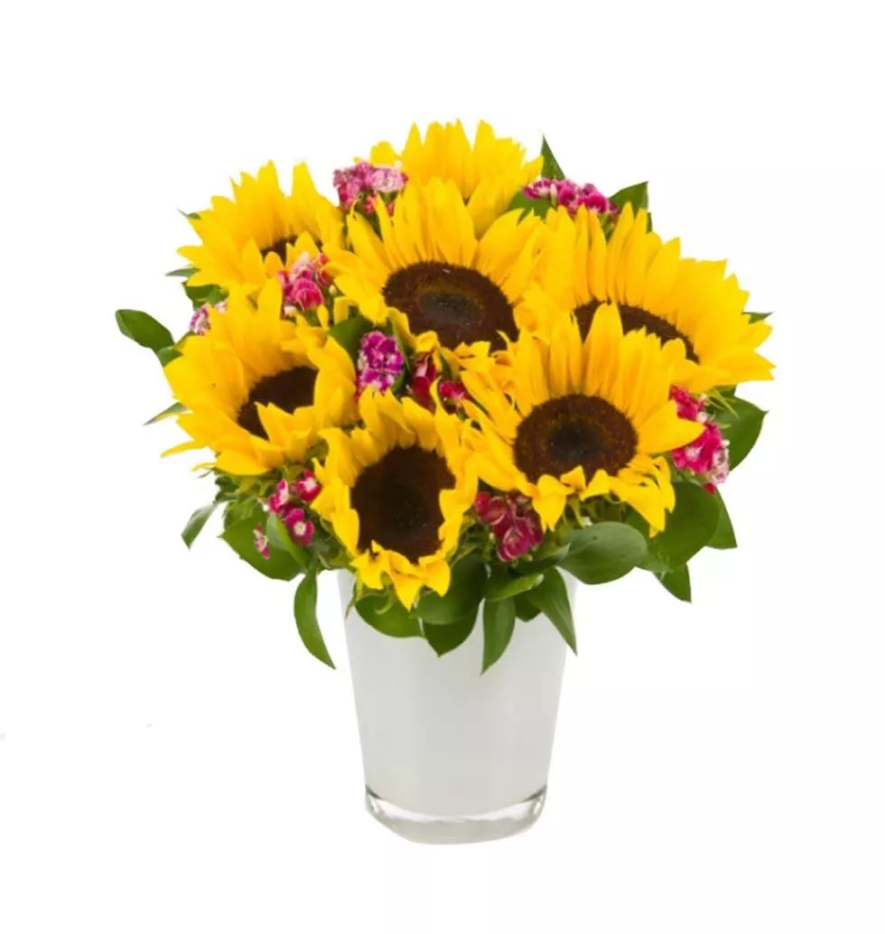 Vase Of Sunshine